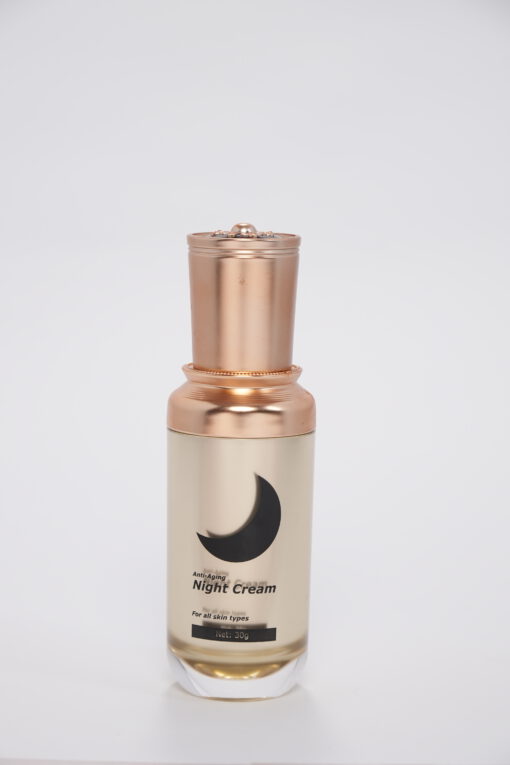 NIGHT CREAM kem hỗ trợ chống lão da ban đêm - Ảnh 3